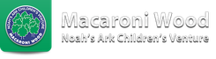 Macaroni Wood Noah's Ark Childrens Venture